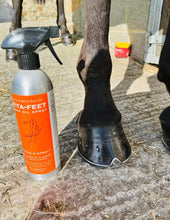 Load image into Gallery viewer, Vitta -feet hoof oil spray
