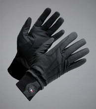 Load image into Gallery viewer, PE Dajour Waterproof Riding Gloves