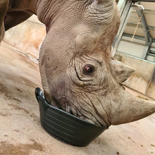 Load image into Gallery viewer, Red gorilla feed skips