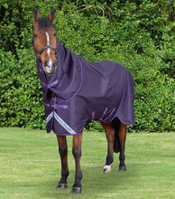 Load image into Gallery viewer, Stratus 600D Series 0g Turnout Rug with Classic Neck Cover Navy