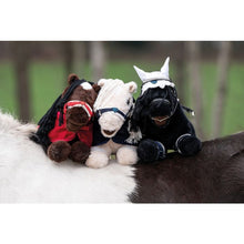 Load image into Gallery viewer, Cuddle pony