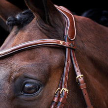 Load image into Gallery viewer, HV polo legacy bridle