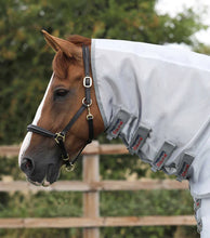 Load image into Gallery viewer, PE super lite fly rug with surcingles