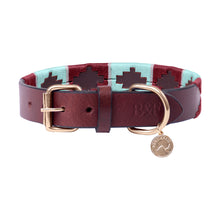 Load image into Gallery viewer, Benji & flo polo dog collar