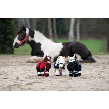 Load image into Gallery viewer, Cuddle pony