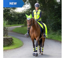 Load image into Gallery viewer, Woof Wear hi viz safety vest