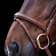 Load image into Gallery viewer, HV polo legacy bridle