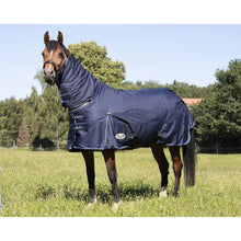 Load image into Gallery viewer, 340g Combo Turnout Rug
