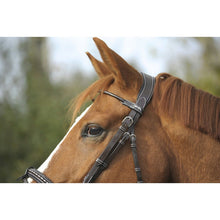 Load image into Gallery viewer, Penelope point sellier bridle