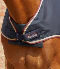 Load image into Gallery viewer, PE horse walker rug