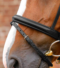 Load image into Gallery viewer, PE Bellissima Crank Bridle with Diamante Browband