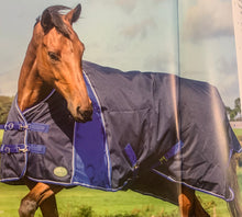 Load image into Gallery viewer, Cameo breathe freedom turnout rug