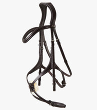 Load image into Gallery viewer, PE Glorioso Grackle Bridle
