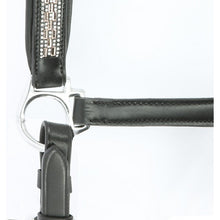 Load image into Gallery viewer, Leather headcollar rose gold detail