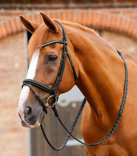 Load image into Gallery viewer, PE Bellissima Crank Bridle with Diamante Browband