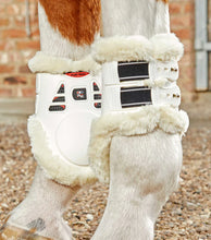Load image into Gallery viewer, PE Techno Wool Fetlock Boots