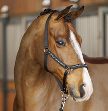 Load image into Gallery viewer, HV Polo nena headcollar and rope set

