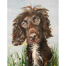 Load image into Gallery viewer, Dog greeting cards
