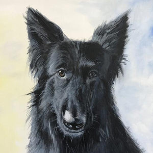 Dog greeting cards