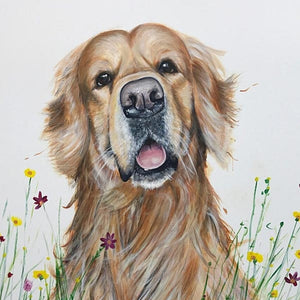 Dog greeting cards
