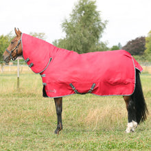 Load image into Gallery viewer, StormX Empra 300 Combi Turnout Rug
