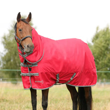 Load image into Gallery viewer, StormX Empra 300 Combi Turnout Rug
