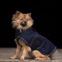 Load image into Gallery viewer, Hv polo franka dog coat
