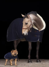 Load image into Gallery viewer, Hv polo franka dog coat
