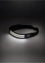 Load image into Gallery viewer, Woof wear rechargeable head torch
