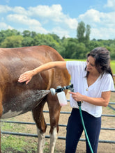 Load image into Gallery viewer, Parralax equibath pro
