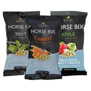 Lincoln horse bix treats