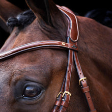 Load image into Gallery viewer, HV polo legacy bridle
