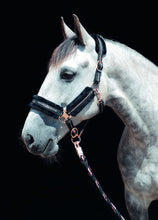 Load image into Gallery viewer, Hkm Head collar -Rosegold-
