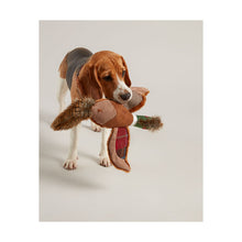 Load image into Gallery viewer, Joules pheasant dog toy
