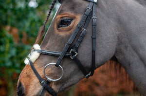 Eco rider ultra comfort Galway grackle bridle