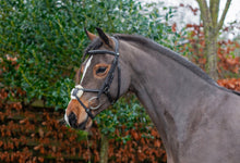 Load image into Gallery viewer, Eco rider ultra comfort Galway grackle bridle

