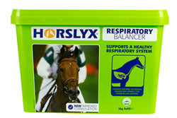 Horslyx respiratory lick 5kg