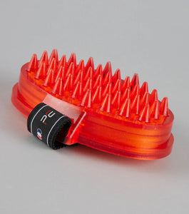 Curry comb with intergrated sponge