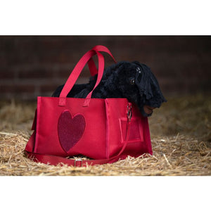 Cuddle pony travel bag