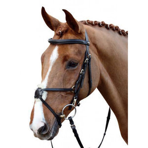 Hkm Mexican grackle bridle