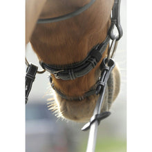 Load image into Gallery viewer, Penelope point sellier bridle
