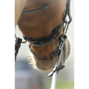 Penelope point sellier bridle