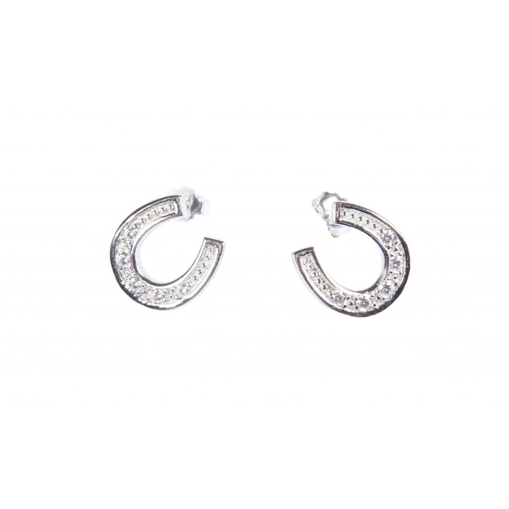 Horseshoe earings