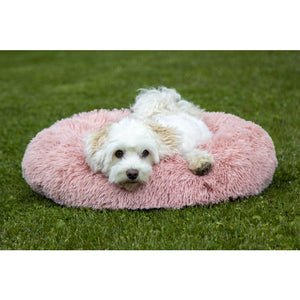 Fluffy dog bed