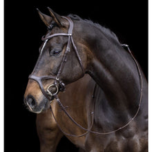 Load image into Gallery viewer, Hkm anatomic sports bridle
