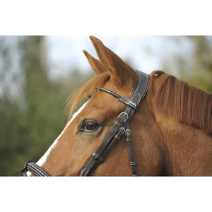 Penelope point sellier bridle