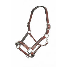 Load image into Gallery viewer, Soft leather headcollar
