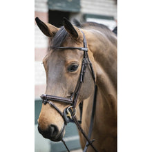 Load image into Gallery viewer, Penelope point sellier bridle
