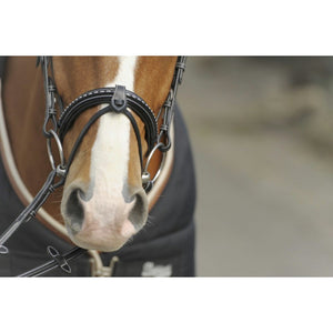 Penelope point sellier bridle