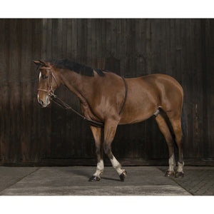 Norton gentle stretching lunging aid